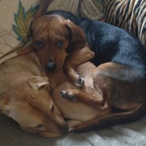 Meet your Posher, Sandra